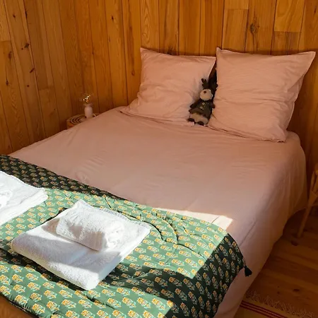 Celine With Private Pool For 6 People In * Andernos-les-Bains